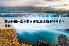 <b>������ֲʲô��ҩ�ĺ���,�ʺ�������ֲ����ҩ��</b>