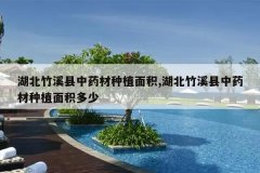 <b>������Ϫ����ҩ����ֲ���,������Ϫ����ҩ����ֲ�������</b>