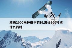 <b>����2000����ֲ��ҩ��,����800��ֲʲôҩ��</b>
