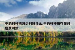 <b>��ҩ����ֲ��������ʲô,��ҩ����ֲ�������⼰�Բ�</b>