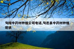 <b>Ѯ����ҩ����ֲ��˾�绰,Ѯ������ҩ����ֲ��״</b>