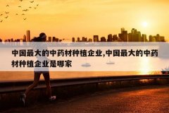 <b>�й�������ҩ����ֲ��ҵ,�й�������ҩ����ֲ��ҵ���ļ�</b>