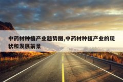 <b>��ҩ����ֲ��ҵ����ͼ,��ҩ����ֲ��ҵ����״�ͷ�չǰ��</b>