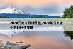 <b>2020������ҩ����ֲ,2020������ʡ��ҩ����ֲ���</b>