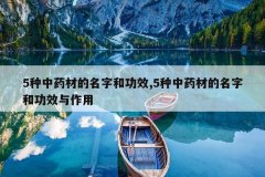 <b>5����ҩ�ĵ����ֺ͹�Ч,5����ҩ�ĵ����ֺ͹�Ч������</b>