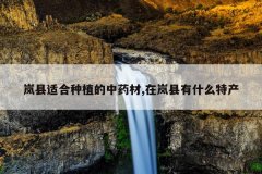 <b>����ʺ���ֲ����ҩ��,�������ʲô�ز�</b>