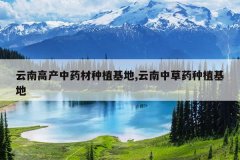 <b>���ϸ߲���ҩ����ֲ����,�����в�ҩ��ֲ����</b>