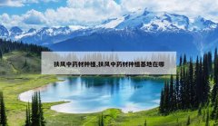 <b>������ҩ����ֲ,������ҩ����ֲ��������</b>