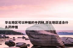 <b>��������������ֲ����ҩ��,���������ʺ�ʲôҩ��ֲ</b>