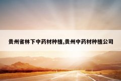 <b>����ʡ������ҩ����ֲ,������ҩ����ֲ��˾</b>