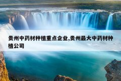 <b>������ҩ����ֲ�ص���ҵ,���������ҩ����ֲ��˾</b>