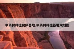 <b>��ҩ����ֲ��Ƶ����,��ҩ����ֲ���ع滮ͼ</b>