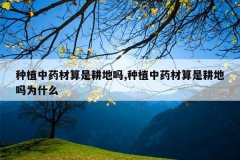 <b>��ֲ��ҩ�����Ǹ�����,��ֲ��ҩ�����Ǹ�����Ϊʲô</b>