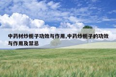 <b>��ҩ�ĳ����ӹ�Ч������,��ҩ�����ӵĹ�Ч�����ü�����</b>