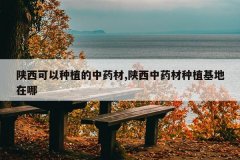<b>����������ֲ����ҩ��,������ҩ����ֲ��������</b>