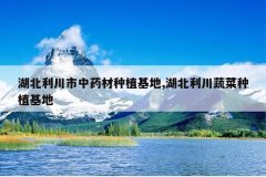 <b>������������ҩ����ֲ����,���������߲���ֲ����</b>