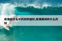 <b>�����ʲô��ҩ����ֲ��,�����ڼ���ʲôҩ��</b>
