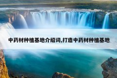<b>��ҩ����ֲ���ؽ��ܴ�,������ҩ����ֲ����</b>