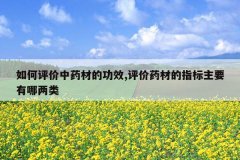 <b>���������ҩ�ĵĹ�Ч,����ҩ�ĵ�ָ����Ҫ��������</b>