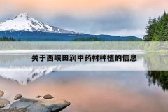 <b>������Ͽ������ҩ����ֲ����Ϣ</b>