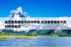 <b>���ܶ�����Щ��ҩ����ֲ,���ܶ�����Щ��ҩ����ֲ����</b>