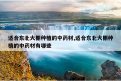 <b>�ʺ϶���������ֲ����ҩ��,�ʺ϶���������ֲ����ҩ������Щ</b>