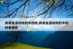 <b>������ʪ��Ч����ҩ��,������ʪ��Ч����ҩ������Щ</b>