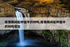 <b>�����ڼ�����ֲ��ҩ����,�����ڼ�����ֲ��ҩ��������</b>