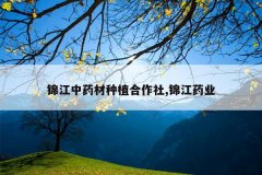 <b>������ҩ����ֲ������,����ҩҵ</b>