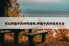 <b>������ֲ��ҩ������Ƶ,��ֲ��ҩ�ļ�����ȫ</b>