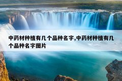 <b>��ҩ����ֲ�м���Ʒ������,��ҩ����ֲ�м���Ʒ������ͼƬ</b>