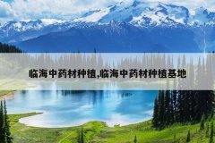 <b>�ٺ���ҩ����ֲ,�ٺ���ҩ����ֲ����</b>