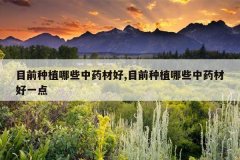 <b>Ŀǰ��ֲ��Щ��ҩ�ĺ�,Ŀǰ��ֲ��Щ��ҩ�ĺ�һ��</b>