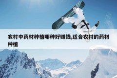 <b>ũ����ҩ����ֲ���ֺ�׬Ǯ,�ʺ�ũ���ҩ����ֲ</b>