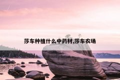 <b>ɯ����ֲʲô��ҩ��,ɯ��ũ��</b>