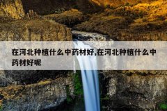 <b>�ںӱ���ֲʲô��ҩ�ĺ�,�ںӱ���ֲʲô��ҩ�ĺ���</b>