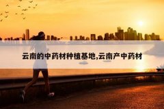 <b>���ϵ���ҩ����ֲ����,���ϲ���ҩ��</b>