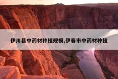 <b>��������ҩ����ֲ��ģ,��������ҩ����ֲ</b>