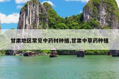 <b>�������������ҩ����ֲ,�����в�ҩ��ֲ</b>