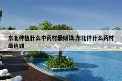 <b>������ֲʲô��ҩ����׬Ǯ,������ʲôҩ����ֵǮ</b>