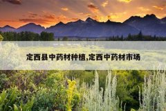 <b>��������ҩ����ֲ,������ҩ���г�</b>