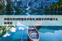 <b>������ҩ����ֲ������ѵ,������ҩ��ֲʲôǰ����</b>