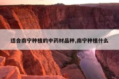 <b>�ʺ�������ֲ����ҩ��Ʒ��,������ֲʲô</b>