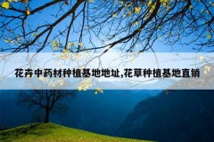 <b>������ҩ����ֲ���ص�ַ,������ֲ����ֱ��</b>