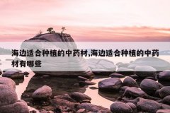 <b>�����ʺ���ֲ����ҩ��,�����ʺ���ֲ����ҩ������Щ</b>