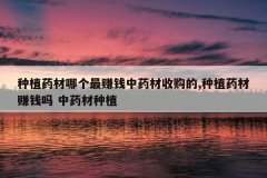 <b>��ֲҩ���ĸ���׬Ǯ��ҩ���չ���,��ֲҩ��׬Ǯ�� ��ҩ����ֲ</b>