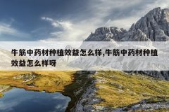 <b>ţ����ҩ����ֲЧ����ô��,ţ����ҩ����ֲЧ����ô��ѽ</b>