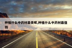 <b>��ֲʲô��ҩ�������,��ֲʲô��ҩ����ֵǮ</b>