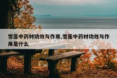 <b>ѩ����ҩ�Ĺ�Ч������,ѩ����ҩ�Ĺ�Ч��������ʲô</b>