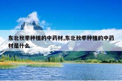 <b>�����＾��ֲ����ҩ��,�����＾��ֲ����ҩ����ʲô</b>